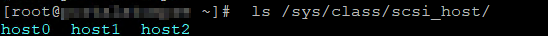 ls /sys/class/scsi_host