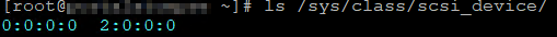 ls /sys/class/scsi_device/