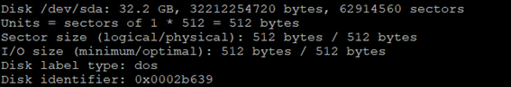 Linux LVM fdisk -l